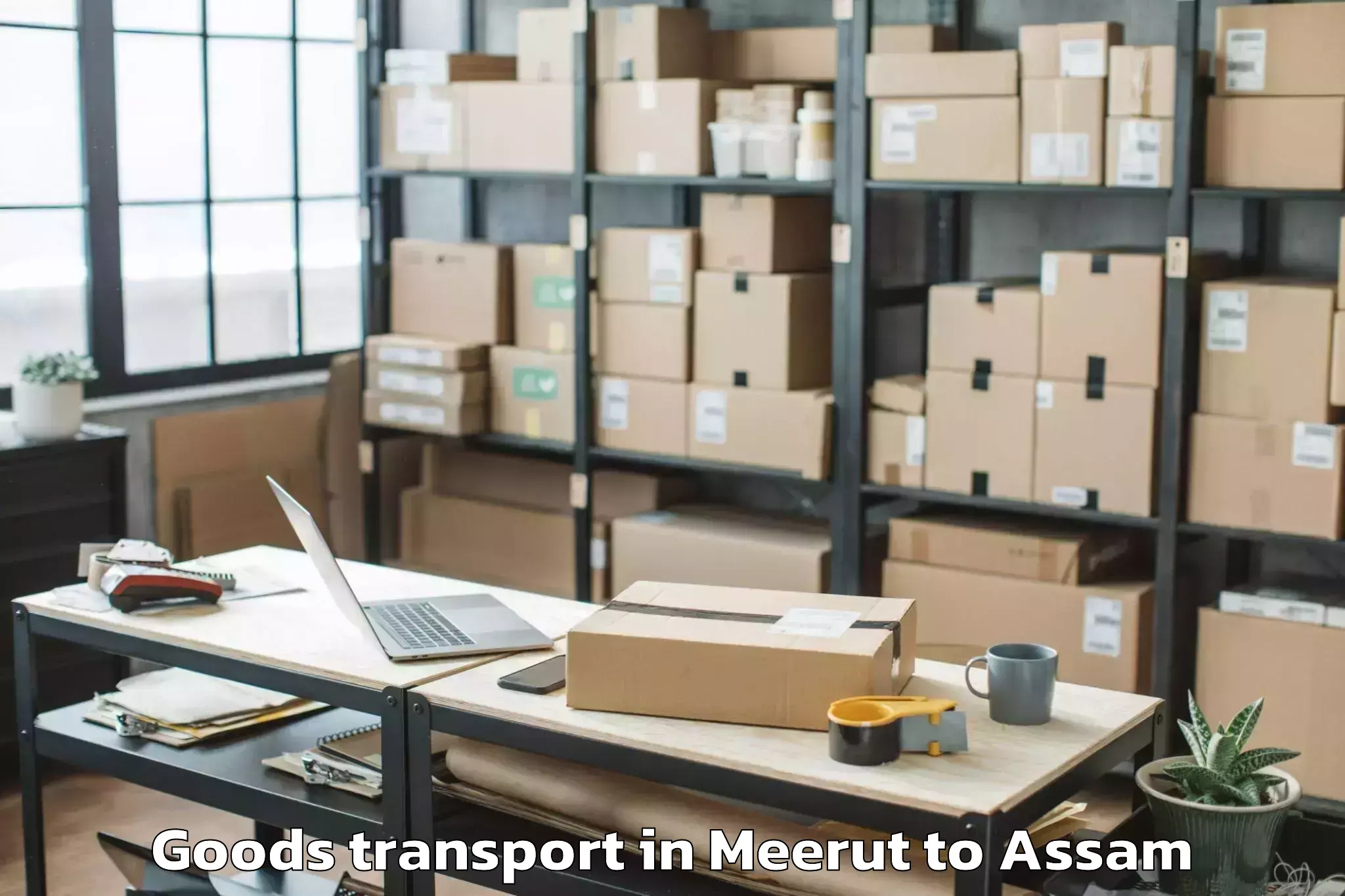 Book Meerut to Sipajhar Goods Transport